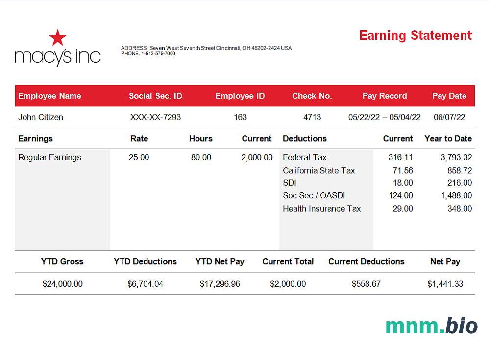 USA retail company earning statement template in Word and PDF format, version 3